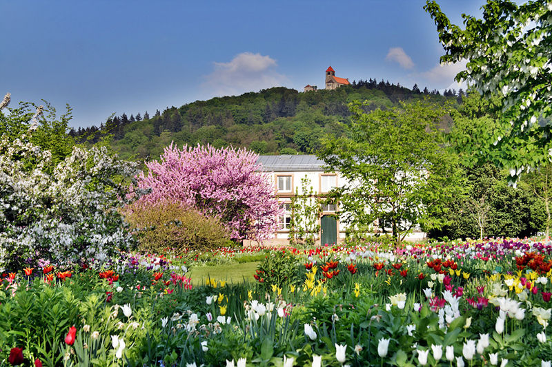 Hermannshof Weinheim by Ulrich Oestringer